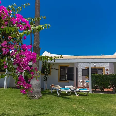 Holiday park Alsol Tajaraste